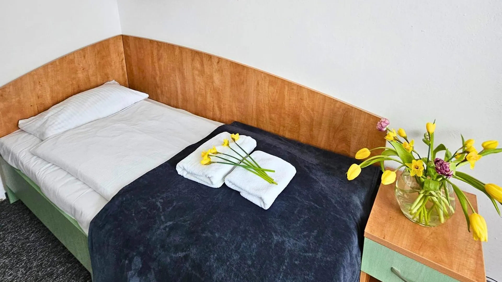 Osrodek Wypoczynkowy Sudety Hotel Szklarska Poreba 0*,  Poland